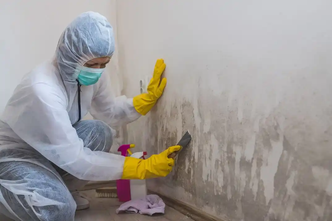 water damage restoration service Chimney Hill